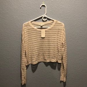 Sheer crop top